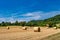 Rolls haystacks straw on field, harvesting wheat.