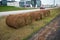 Rolls of lawn grass for city park