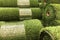Rolls of new artificial grass on the counter in the store
