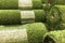 Rolls of new artificial grass in the sho