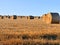 Rolls of straw in a field of stubble after crops have been gathered