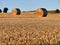 Rolls of straw in a field of stubble after crops have been gathered