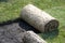 ROLLS OF TURF - LAWN