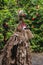 Rom custom dance, Fanla tribe, North Ambrym, Vanuatu