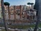 Roma - Tempio di Giuturna a Largo di Torre Argentina
