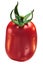 Roma VF plum tomato, paths