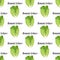 Romain lettuce seamless pattern