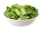 Romaine Salad Bowl isolated