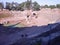 Roman Amphitheater Dated In The 1st Century In Augusta Emerita Venue For Gladiatorial Struggles In Merida. January 29, 2010.