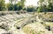 The Roman amphitheater of Syracuse Siracusa â€“ ruins in Archeological park, Sicily, Italy