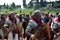 Roman army at ancient romans historical parade