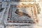 Roman bird mosaic floor, Italica, Spain.