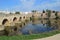 Roman Bridge and the Alcazaba Merida Spain