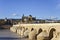 Roman Bridge and Mezquita Catedral de CÃ³rdoba, Andalucia, Spain