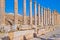 Roman colonnade in Jerash, Jordan