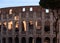 Roman Coloseum and Umbrella Pine