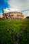 The Roman Colosseum Coloseum in Rome, Italy, vertical view with flowers in foreground