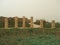 Roman columns, Caesarea, Israel, Middle East