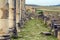 Roman Columns and City Entrance, Volubilis,Morocco