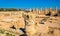 Roman columns in Paphos Archaeological Park