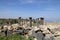 Roman Corinthian columns in Umm Qais (Umm Qays) --is a town in northern Jordan near the site of the ancient town of Gadara.