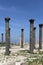 Roman Corinthian columns in Umm Qais (Umm Qays) --is a town in northern Jordan near the site of the ancient town of Gadara.