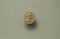 Roman Emperor Honorius coin