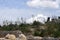 Roman era ruins, Volubilis, Morocco