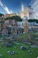 The Roman Forum