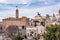 Roman Forum Arch Capatoline Hill Columns Rome Italy