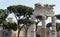 Roman Forum Corinthian Columns - Rome