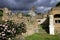 Roman forum Italy Rome antiquity hill Palatine rose Bush sculpture marble storm clouds