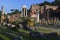 Roman Forum and Palatine Hill, Rome, Italia