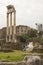 Roman Forum ruins and seagull in Rome, Italy. Italian ancient buildings and landmarks