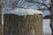 Roman milestone on the Via Claudia Augusta, an ancient Roman road  in Bavaria