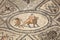 Roman mosaic in Volubilis