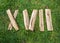 Roman numeral. Roman numerals made from oak. Old wood numbers. Old roman antique alphabet number on green grass background. Number