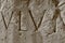 Roman Numerals, Roman Coliseum