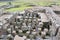 Roman remains at Housesteads, Northumberland