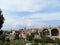 Roman ruins. Complete view of Mont Palatino, ruins of Roman Forum