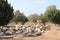 Roman ruins in the park, Ashkelon, Israel