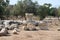 Roman ruins in the park, Ashkelon, Israel