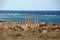 Roman ruins in Sabratha, Libya