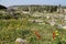 Roman ruins at Umm Qais (Umm Qays), Jordan