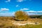 Roman ruins Villa Rustica under colorful autumn forest, hill, November, Slovakia, near Bratislava