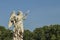 Roman sculpture of woman high above with blurred trees in the background