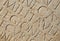 Roman Writing as Background