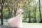 Romance woman holds bouquet of pink peonies. Bridesmade, bride