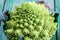 Romanesco broccoli close up. The fractal vegetable is known for it`s connection to the fibonacci sequence and the golden ratio.