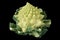 Romanesco broccoli , roman cauliflower